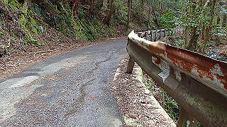 p4190506_thumb.jpg
