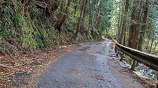 p4190507.mov_thumb.jpg