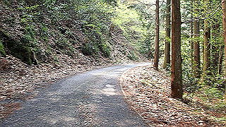p4190508.mov_thumb.jpg