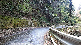 p4190509.mov_thumb.jpg