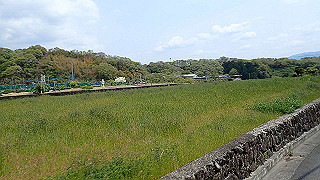 p4190514_thumb.jpg