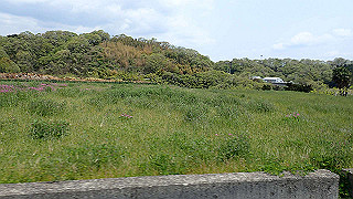 p4190515_thumb.jpg