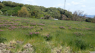 p4190517_thumb.jpg