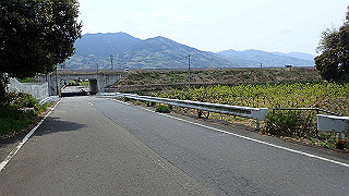 p4190518_thumb.jpg