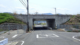 p4190519_thumb.jpg
