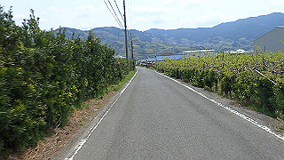 p4190520_thumb.jpg