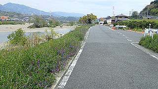 p4190533_thumb.jpg
