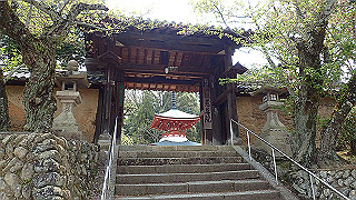 p4190543_thumb.jpg
