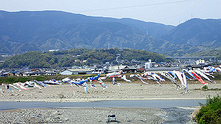 p4190549_thumb.jpg