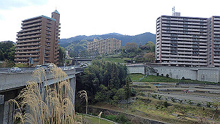 p4190564_thumb.jpg