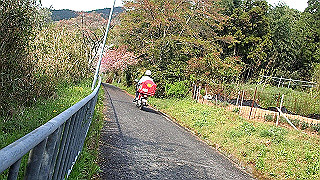 p4190569.mov_thumb.jpg