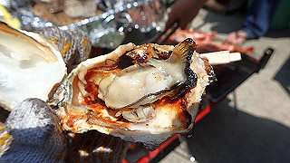 p5020581_thumb.jpg
