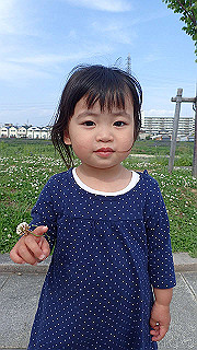 p5020592_thumb.jpg