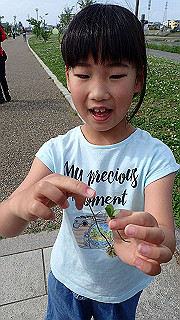 p5020593_thumb.jpg