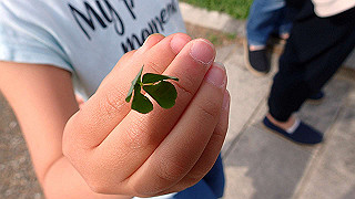 p5020594_thumb.jpg
