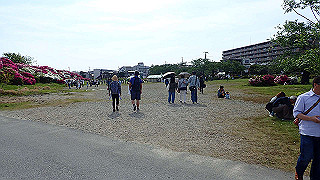 p5020595_thumb.jpg