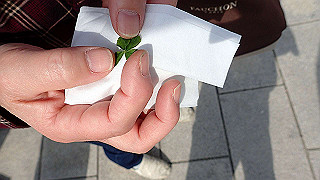 p5020596_thumb.jpg