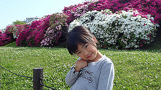 p5020599_thumb.jpg