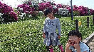 p5020600_thumb.jpg