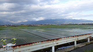 p5070633_thumb.jpg