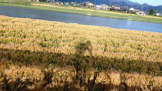p5070642_thumb.jpg
