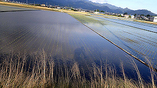 p5070643_thumb.jpg