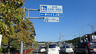 p5070647_thumb.jpg