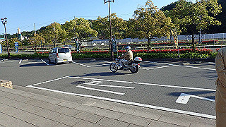 p5070650_thumb.jpg