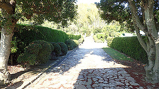 p5070655_thumb.jpg