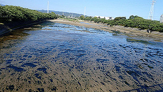 p5070658_thumb.jpg