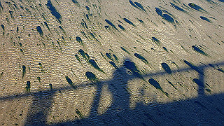 p5070660_thumb.jpg