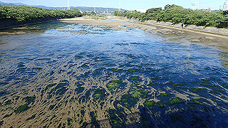 p5070663_thumb.jpg