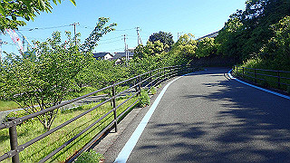 p5070677_thumb.jpg