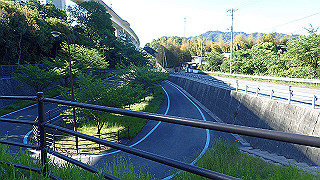 p5070681_thumb.jpg