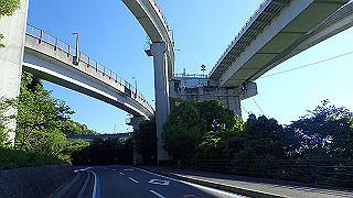 p5070682_thumb.jpg