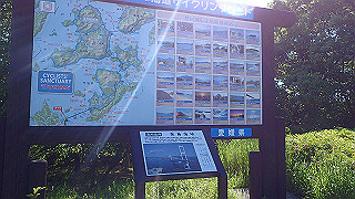 p5070685_thumb.jpg
