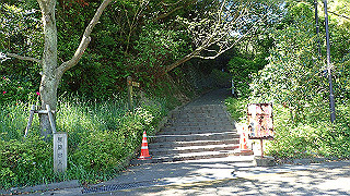 p5070697_thumb.jpg