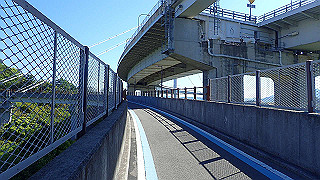 p5070698_thumb.jpg