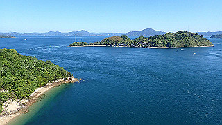 p5070700_thumb.jpg