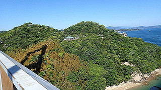 p5070701_thumb.jpg