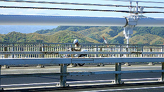 p5070705_thumb.jpg
