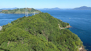 p5070719_thumb.jpg