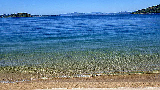 p5070749_thumb.jpg