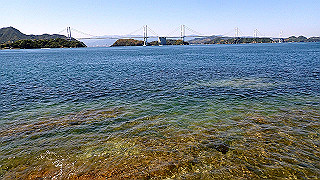 p5070751_thumb.jpg