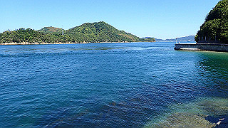 p5070752_thumb.jpg
