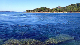 p5070753_thumb.jpg