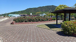 p5070758_thumb.jpg