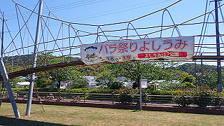 p5070762_thumb.jpg