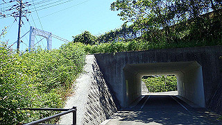 p5070810_thumb.jpg