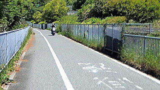 p5070826.mov_thumb.jpg